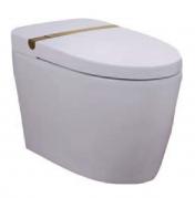 JXD-60112智能座便器