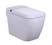 JXD-60113智能座便器