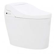 JXD-60119智能座便器